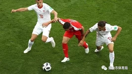  意甲新规引争议，VAR判定标准遭炮轰  